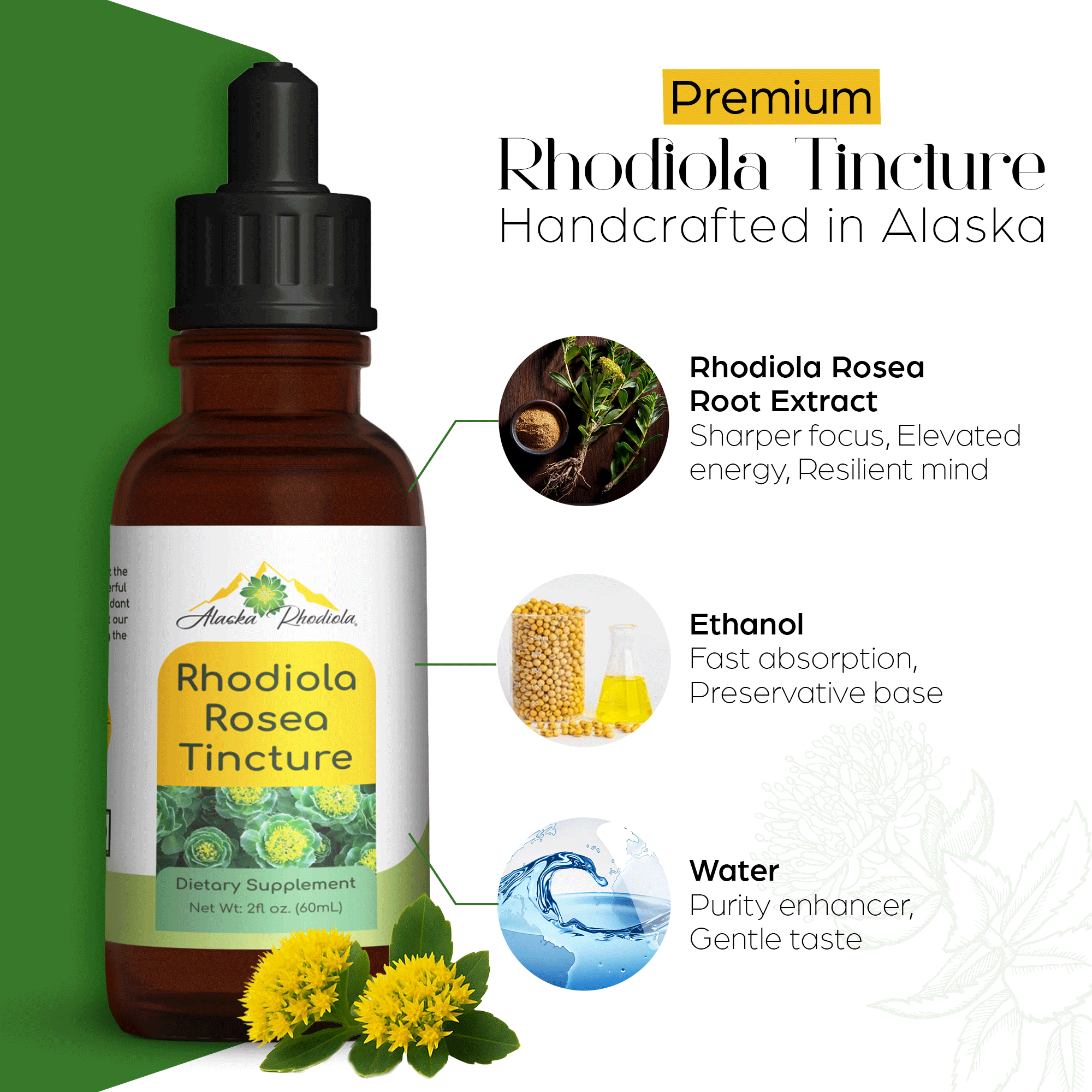 Rhodiola Rosea Tincture – Natural Stress & Energy Support (2 oz)